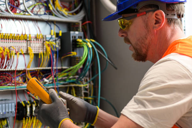Best Electric Panel Repair  in Clear Lake, IA
